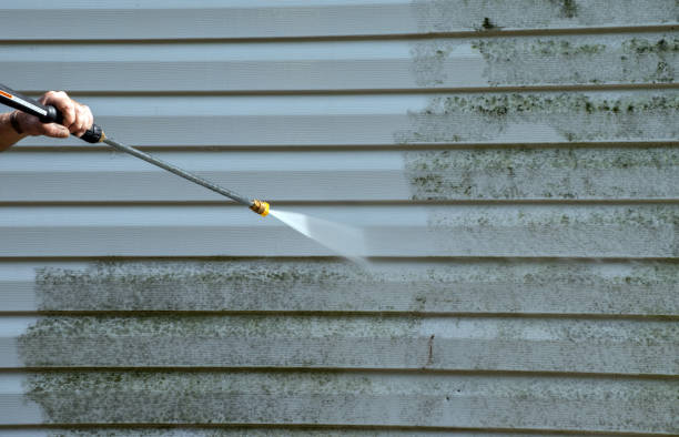 Best Commercial Mold Removal  in Linton Hall, VA