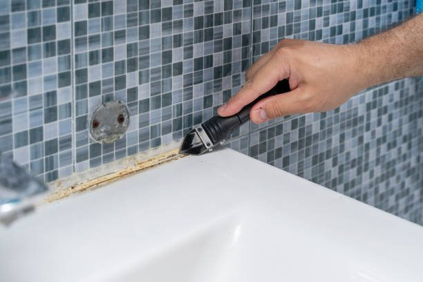 Best Affordable Mold Removal  in Linton Hall, VA